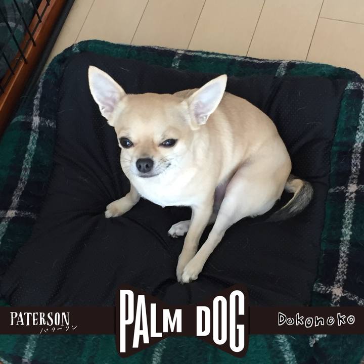 811375f3 b512 4b42 9aab 9a1a125d5c2b