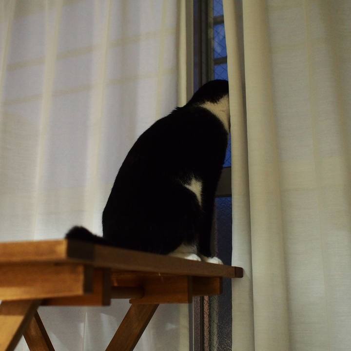 8113aa6e 08e8 4d58 8caa 650993dfa3a4