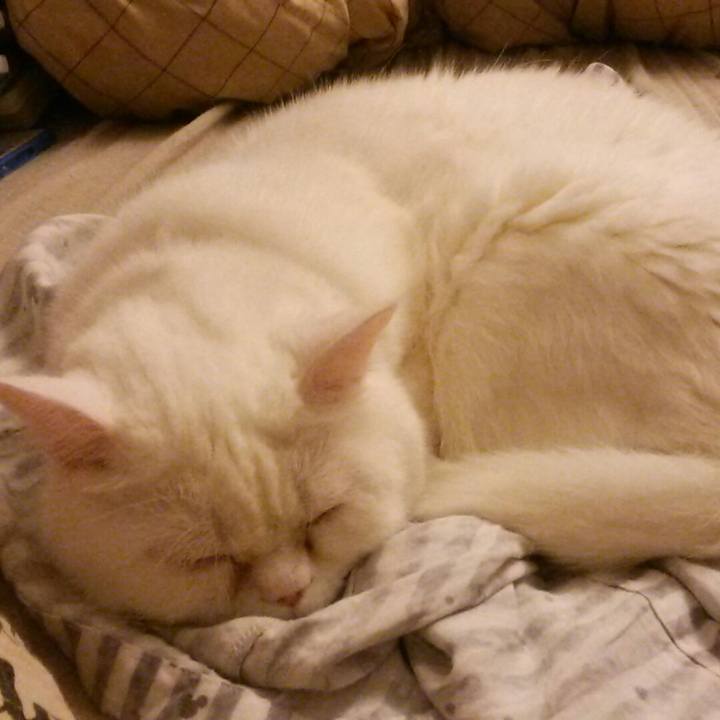 8113b114 a00e 4ed8 a082 39671bbf6f53