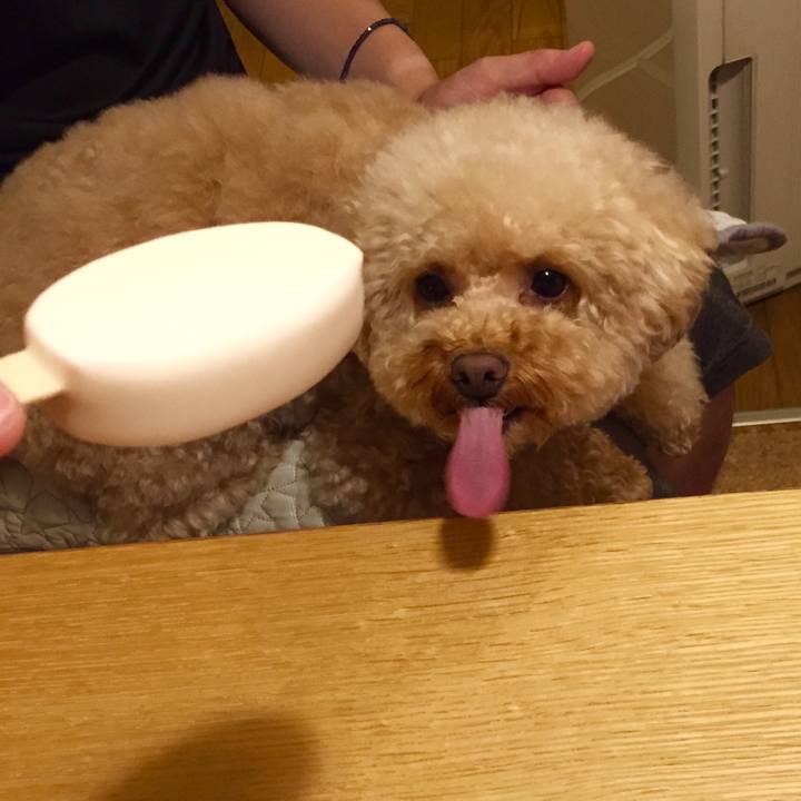 81142056 58bb 4f3a 99e5 778080f38ccc