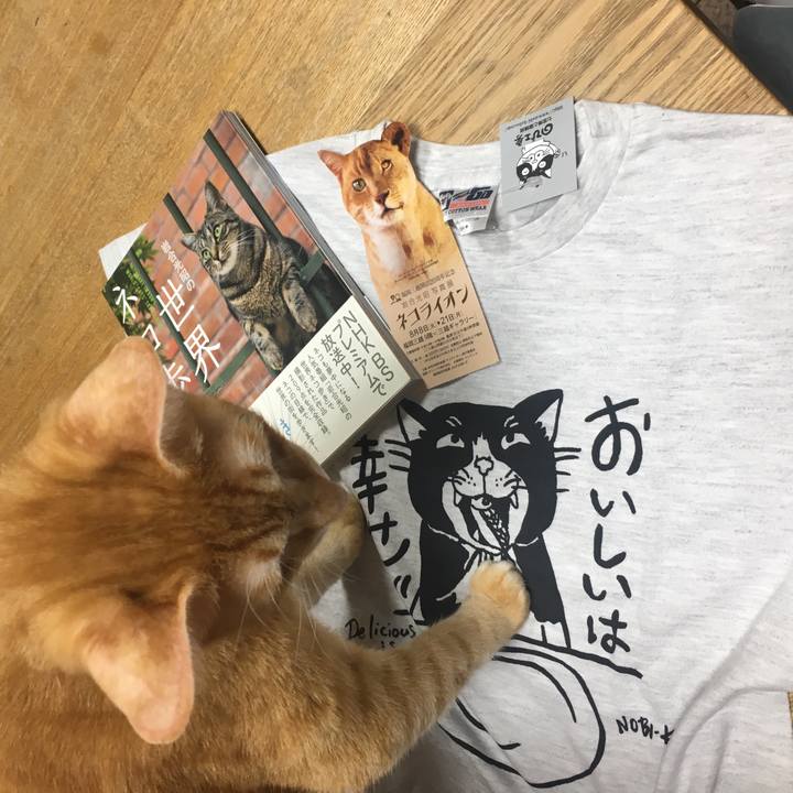 81148750 dcde 408b 9abe 310a59d40c00