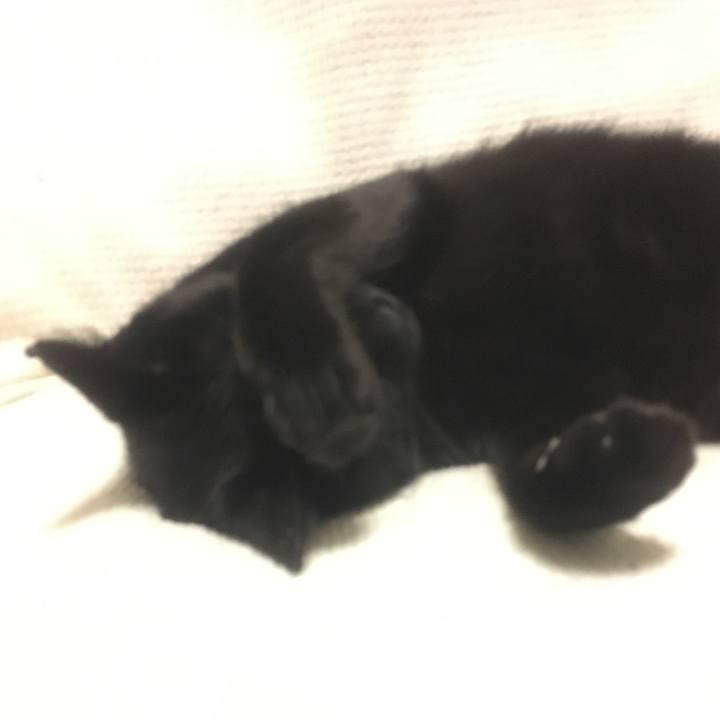 8114aba8 b37a 4174 b804 6f2427b4883e