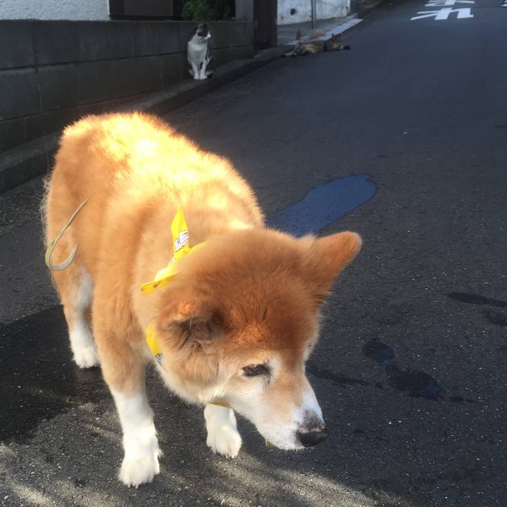 8114aea3 bf7c 4650 96d1 20051c565c5e