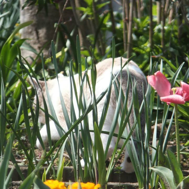 8114ea96 c131 4b8c af3f cb3a5f4989bf