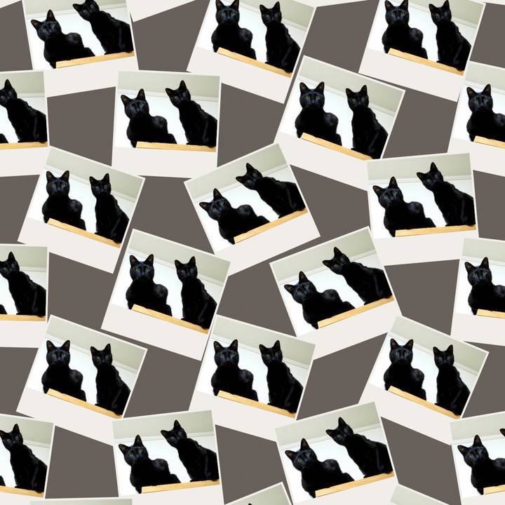 81158f7e 9ff0 4a13 be2f 541699deae81