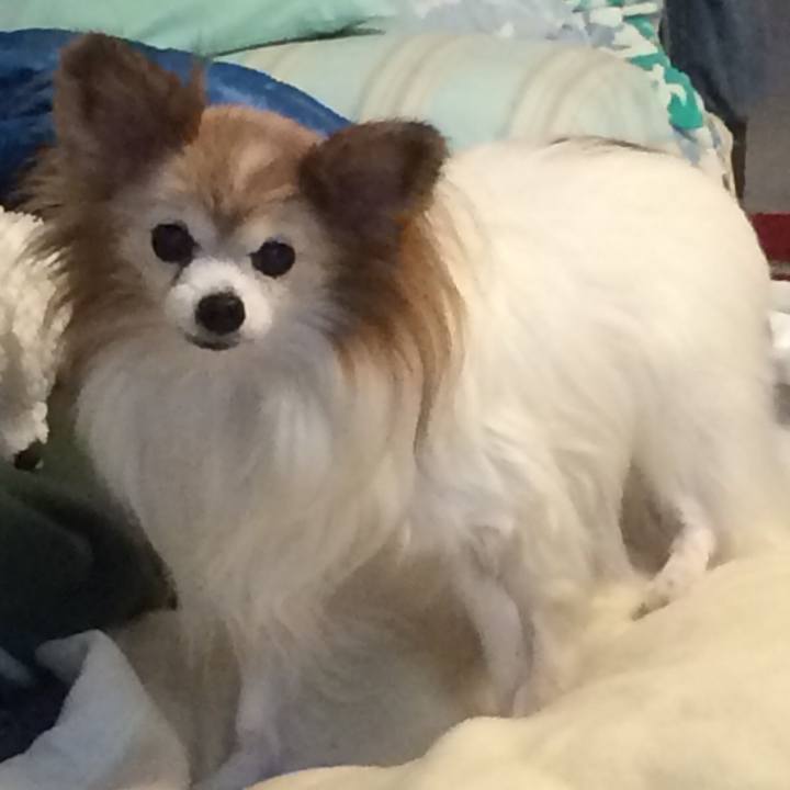 811686b3 1529 4b28 96bf c4f383f5b160