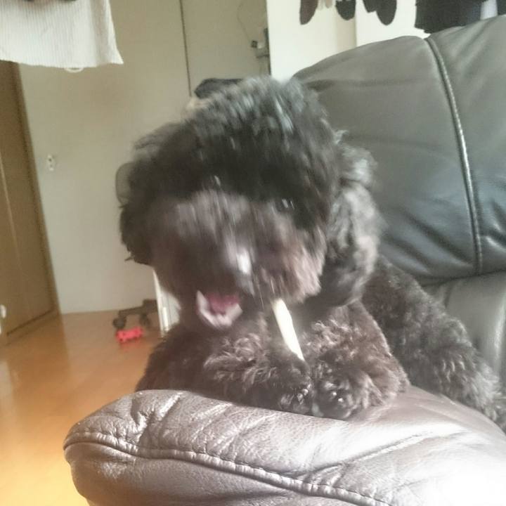 8116c1e5 28d8 4c71 b0f7 ba76b76c959f