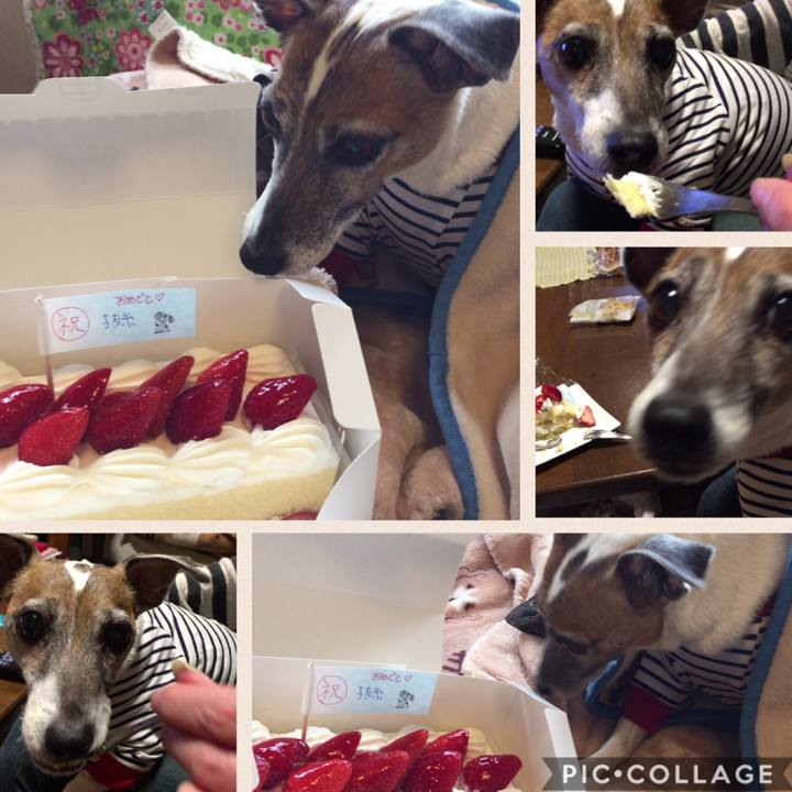 81171f65 124f 4cfd 8ff4 bd569799d9eb