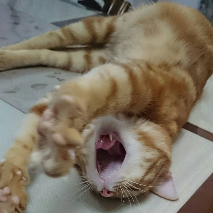 81172386 bc0e 4e1f 8ba8 f8dc5e5c72a9