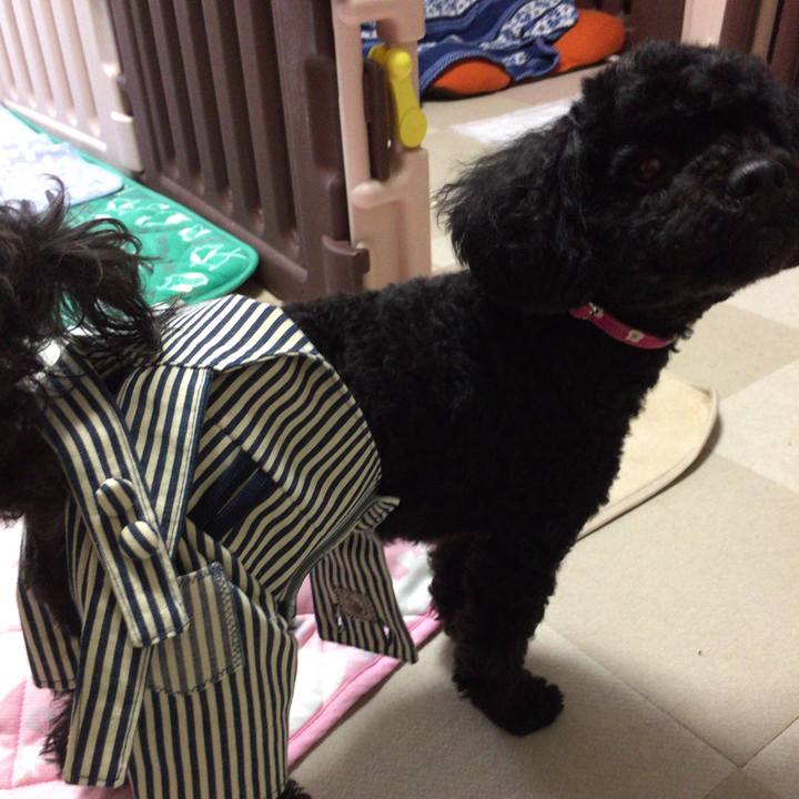 8117e83d 5cba 4e95 a443 b11e7bf50693