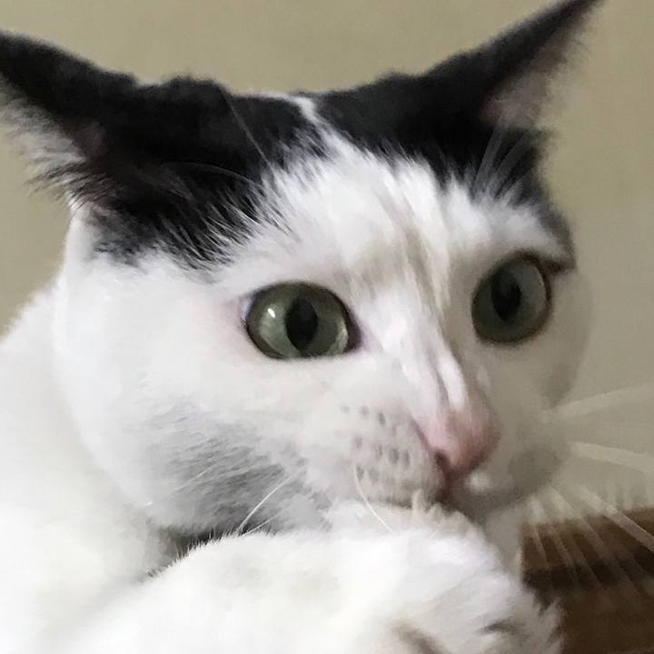 811831ba 2eb8 4012 ab88 c3d3be74f688