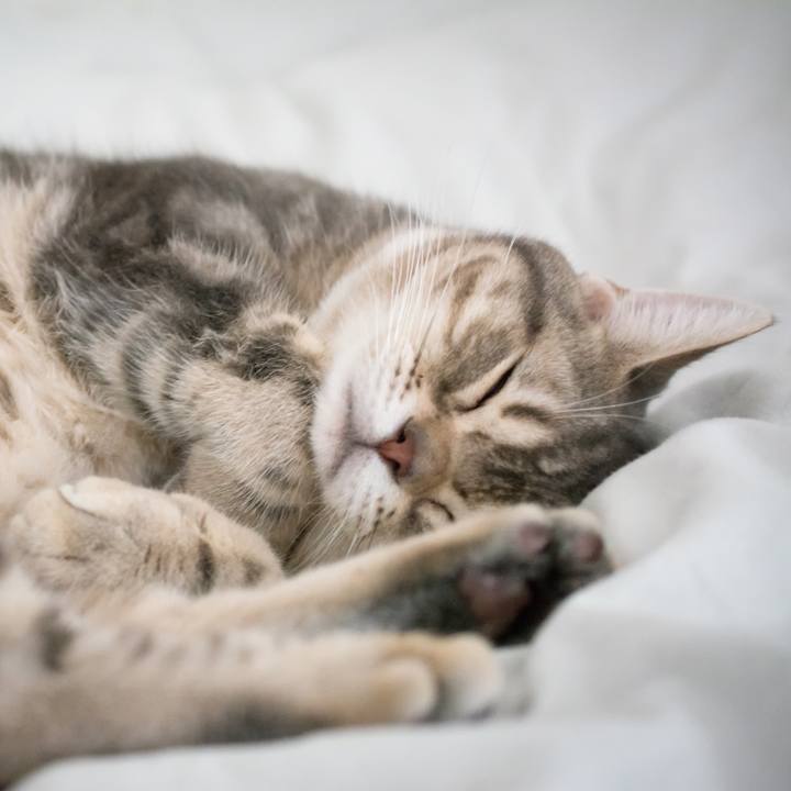 81185f69 1c3d 4bc1 8c05 97015b20e01d