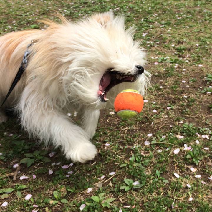 8118a752 4e3c 4997 ba14 e671343dca58