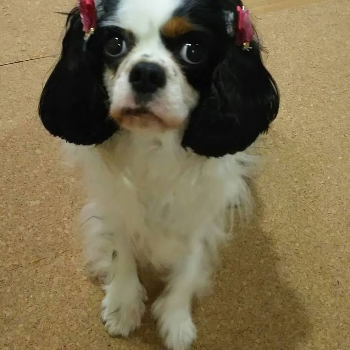 8118ed57 6885 4d33 9b40 f982206fc3b3