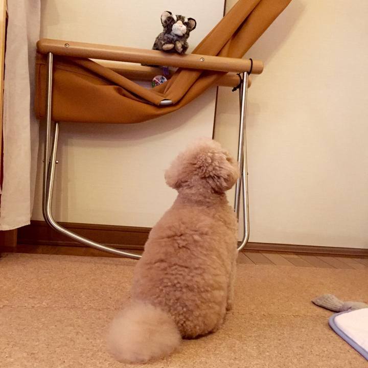 8118edcc 18f8 42db a131 f4c2db860145