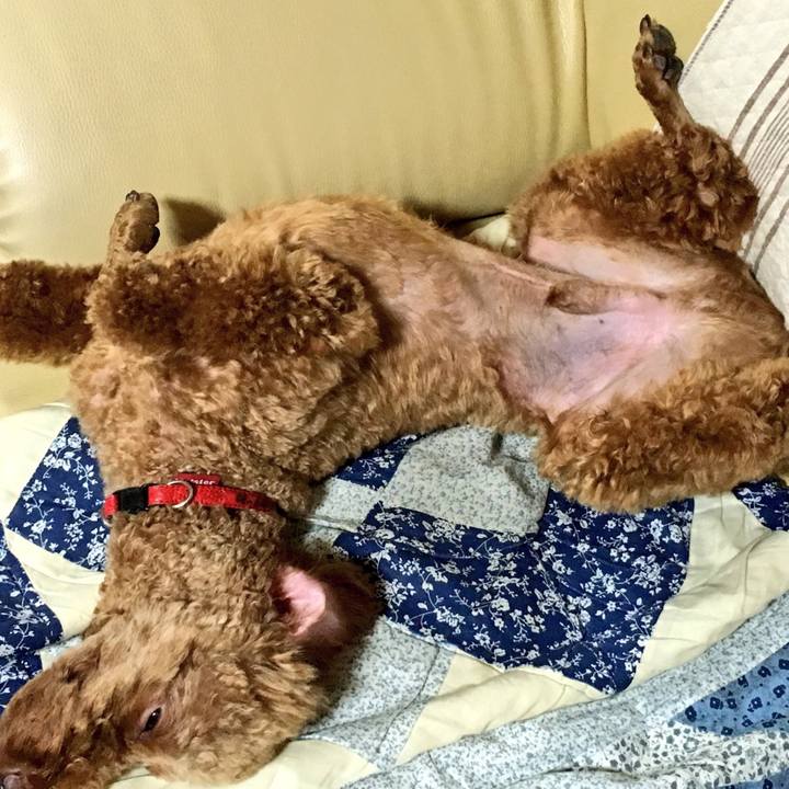 811bb0e1 68ed 4872 bc15 63564d9d5689