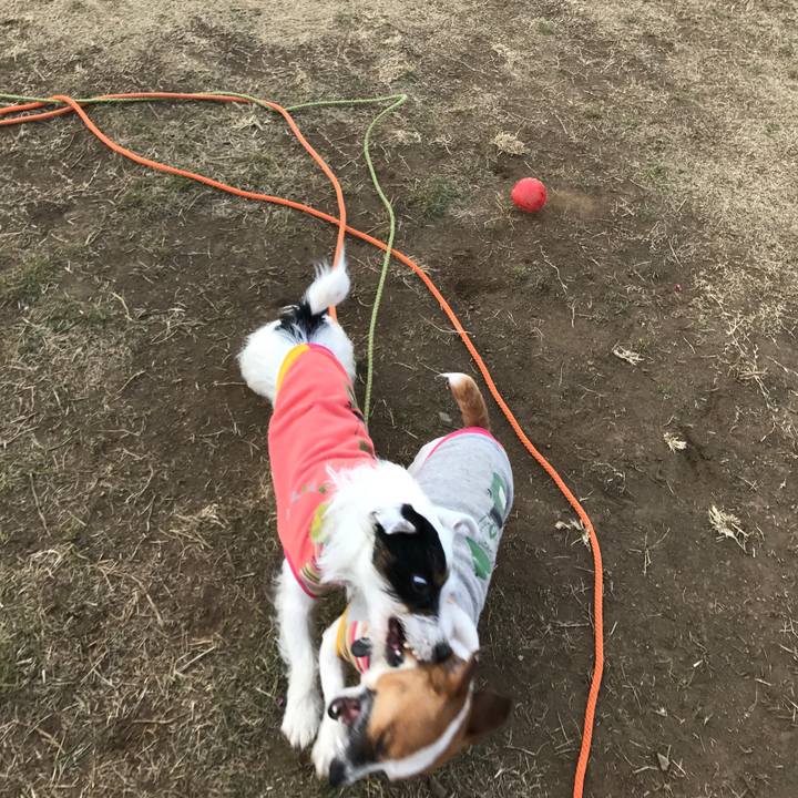 811ca4dc d054 46b8 a667 00a421856a9a