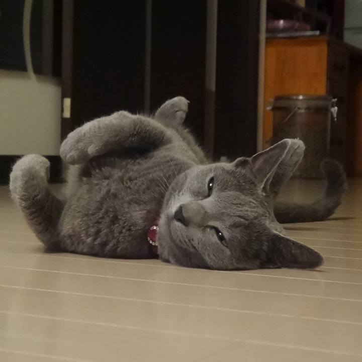 811caf49 995b 46fe a935 4c75d7ad681b