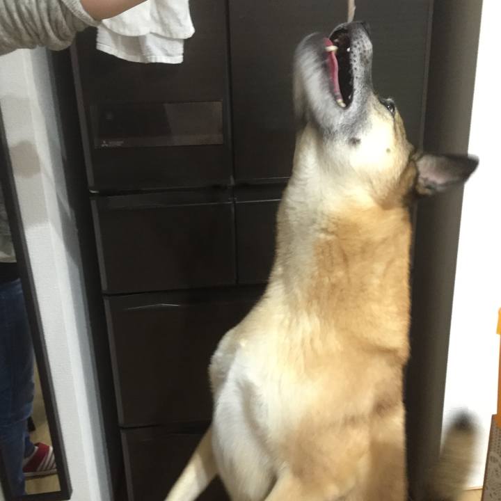 811cf454 96e9 4d85 ad17 37dc9b8d3a7b