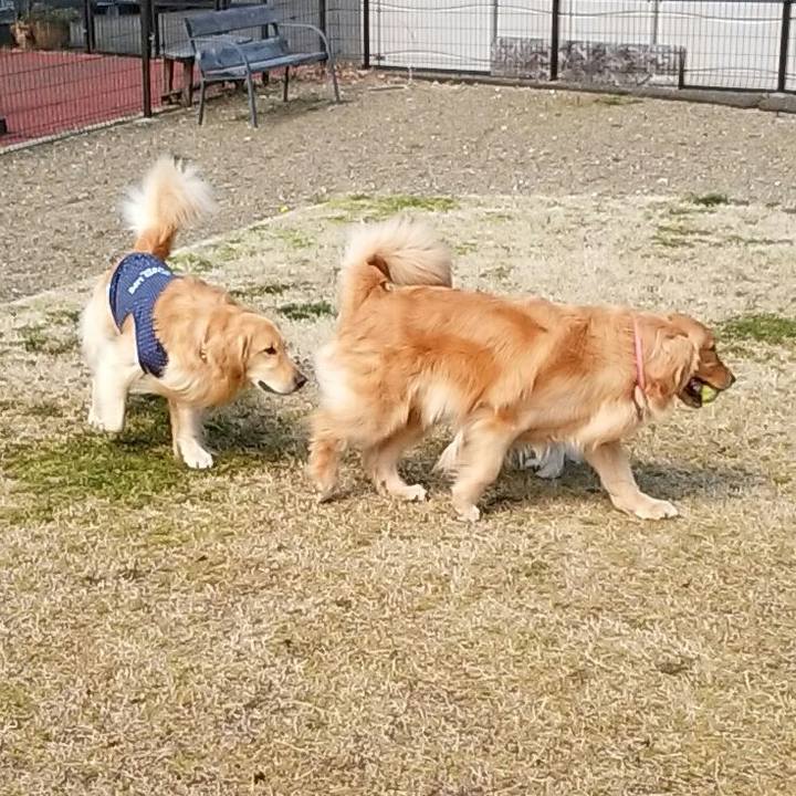 811d41a2 2b0b 4503 a4a3 53814c4785b9