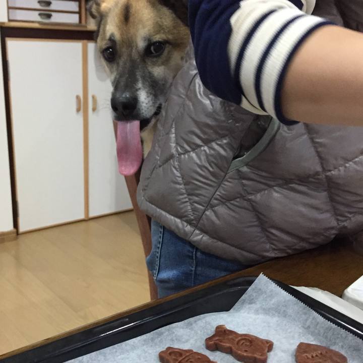 811d4b11 2f0d 401e 91ed 9da06d3453d5