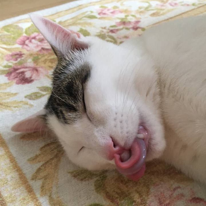 811e0654 5ccb 4fd7 9e68 b3f0dbb8810a