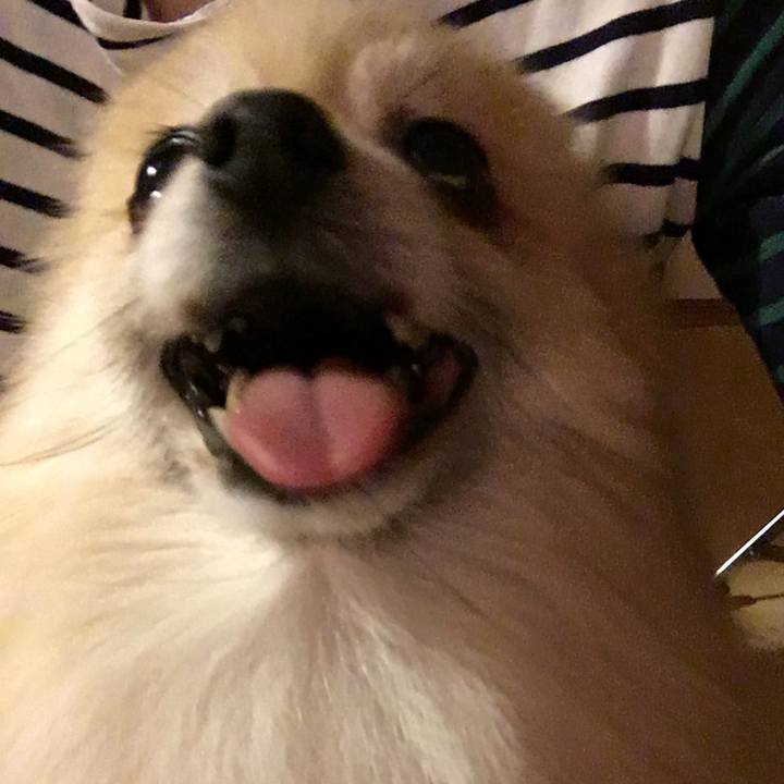 811e2dfe de03 4fe6 8ba2 9db925e6b799