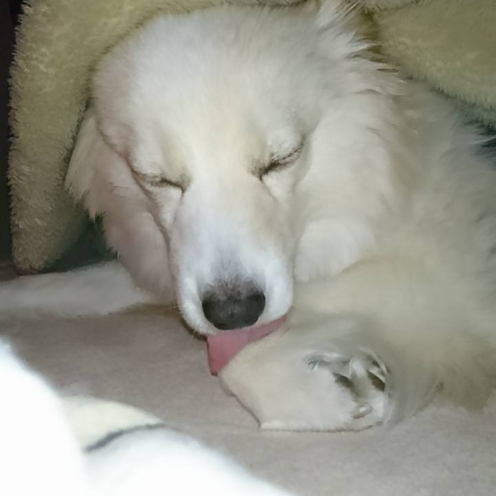 811edbdf fe66 4d07 94fb cbfbadbdf045