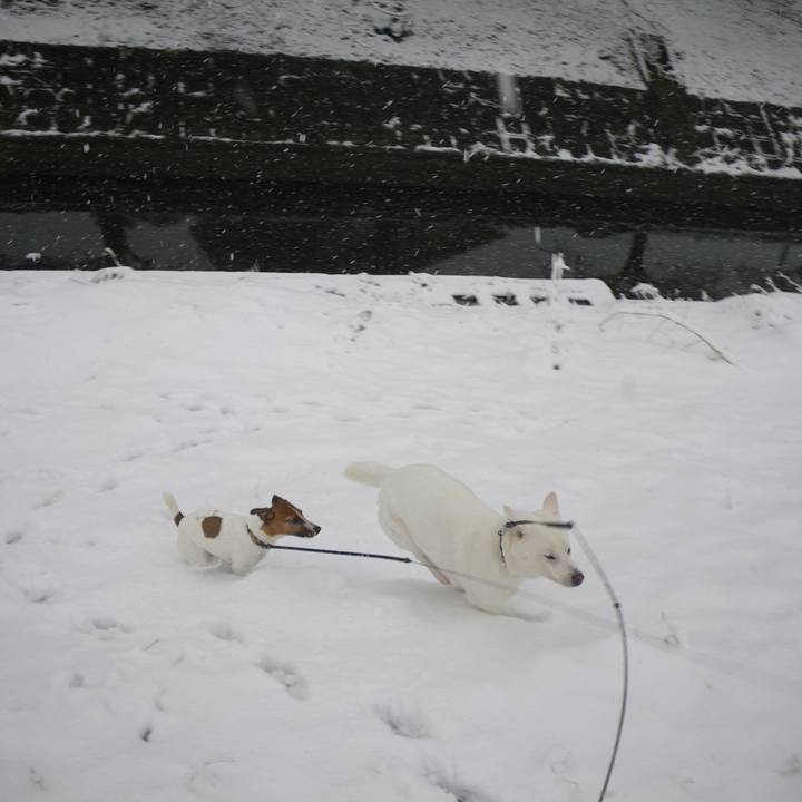 811efdb6 6120 4fca aced 563a377c5657