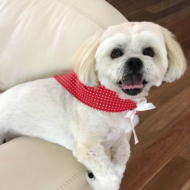 811f0bc0 f84c 402e b5cb 44a643817b21