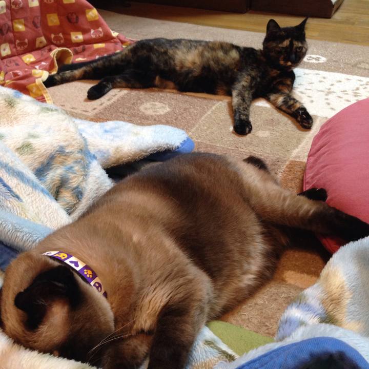 811f4014 c5db 47d2 8cce de9bc473506e