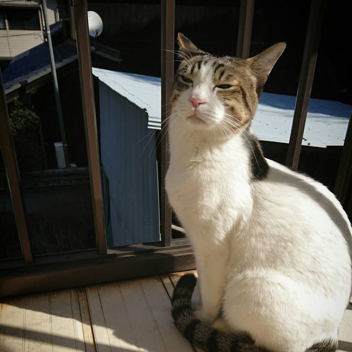 811f6857 4ad9 4e48 9afb 4ae0091795e6