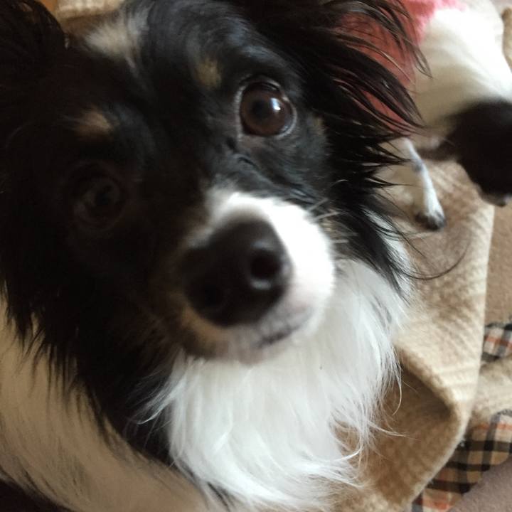 811fe0ad c0d6 4a74 a178 a7919d5ca0a9