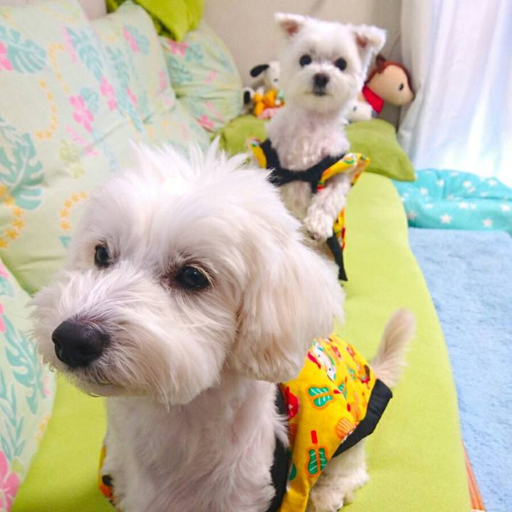 811fe243 7b87 4315 9586 9042531b1c20