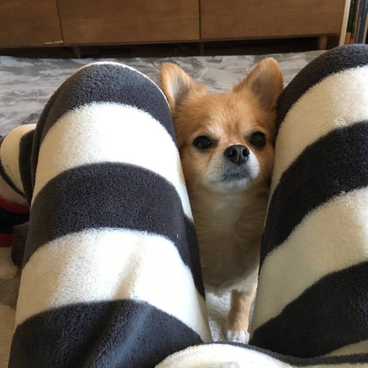 812016d7 6aaa 4220 b5b3 676d17a4c982