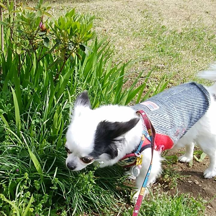 812090b5 7b2e 429f a99b 4491a01f344c