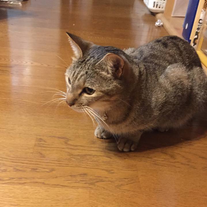 81213260 0efa 43a9 a86b fb054df528fd