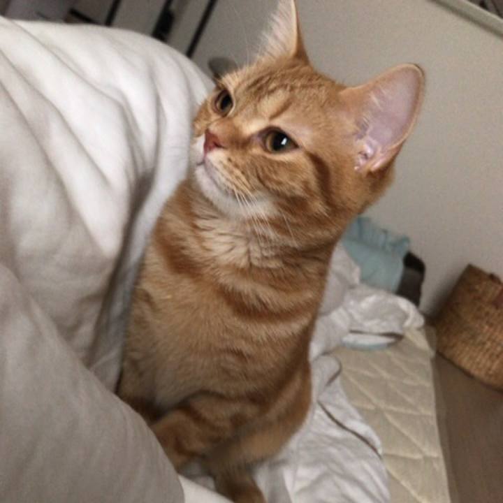 8121920f bc3e 463a 981b eed0769fffcb