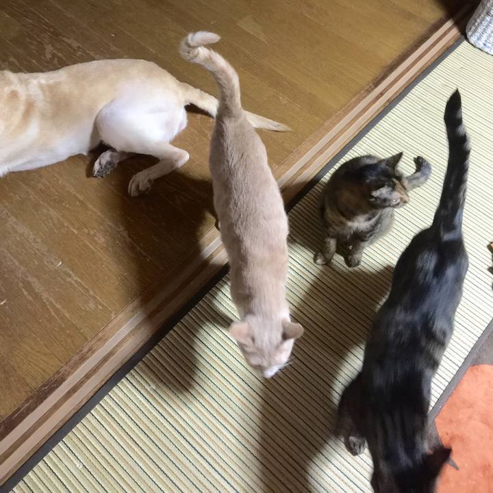 8121a4ae d5ca 4bda 8aad 06a397fc4b57