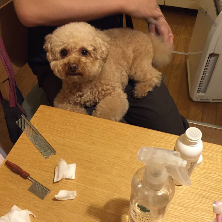 8121e888 2c5b 4168 ad32 737f7afbfbc2