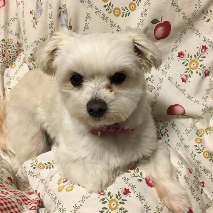 8123c70c 3e33 4e51 95a4 9499f67203d6