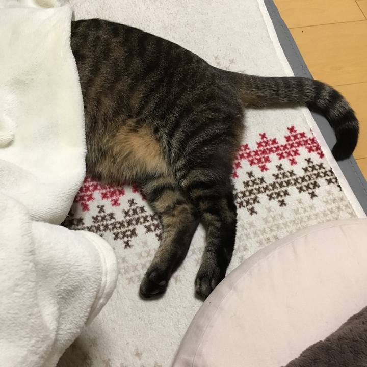 81246196 eece 43e1 b82e 228a88e8f781