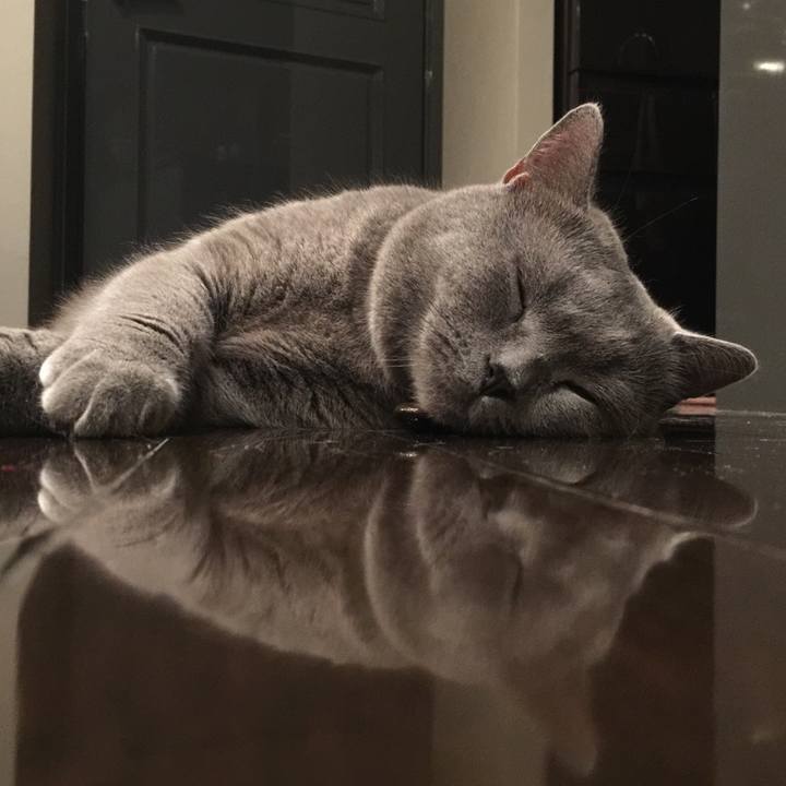 8124ecee 6a97 40e1 ac47 a05511fb1c18