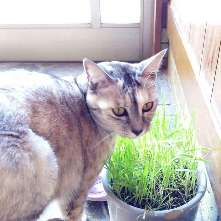 81253677 240d 4c4c acdd 0343fe4f6aa0