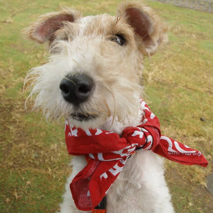 8125b81d 549d 4d5d a680 39c3a0847581