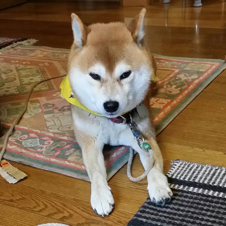 8126dc3c fd85 4ec2 a483 6fc1c08de1d9