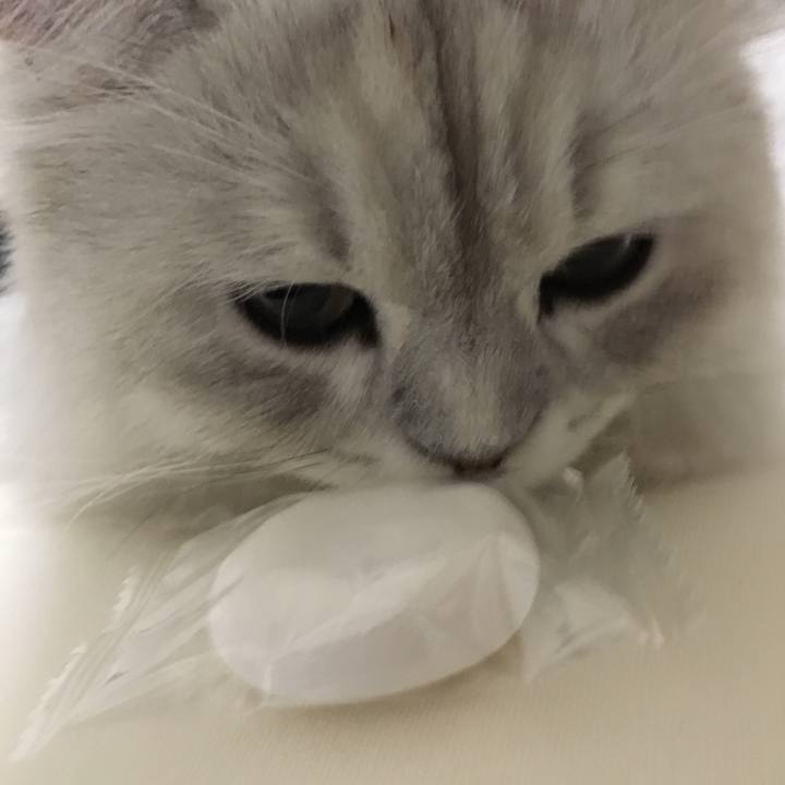 8126dcb1 453e 4372 9fd2 ec7732bb825d