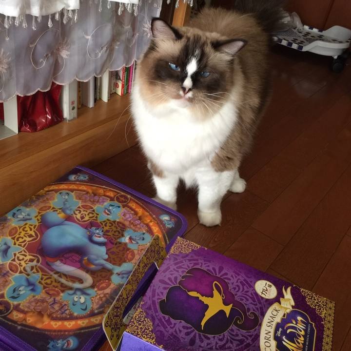 8126f52e b351 489a ba34 7ae860a145e3