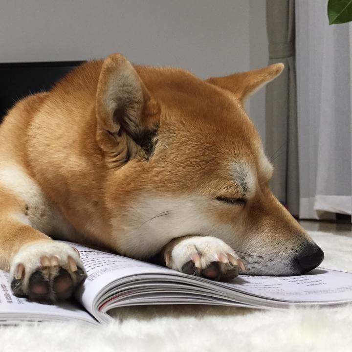 8127c3b8 c9e2 4786 b872 4d0e72e5415b