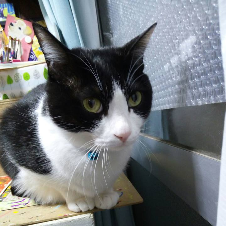 8127d92b e606 47da b318 591b5bf9d113